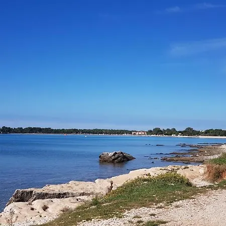 Adriatic *